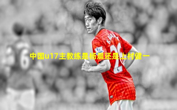 中国u17主教练是杨晨还是上村健一