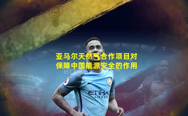 亚马尔天然气合作项目对保障中国能源安全的作用