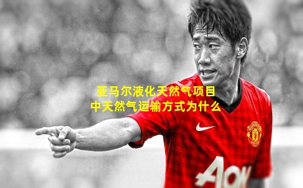 亚马尔液化天然气项目中天然气运输方式为什么