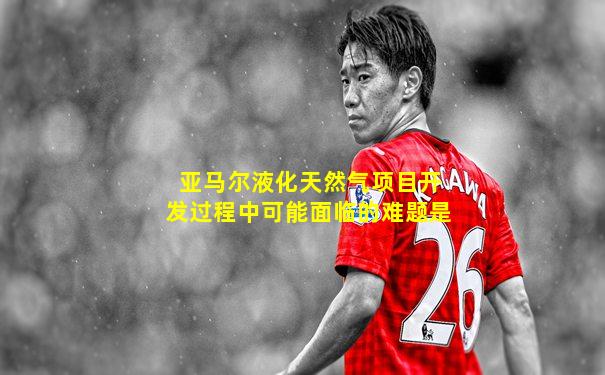 亚马尔液化天然气项目开发过程中可能面临的难题是