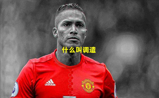 什么叫调遣