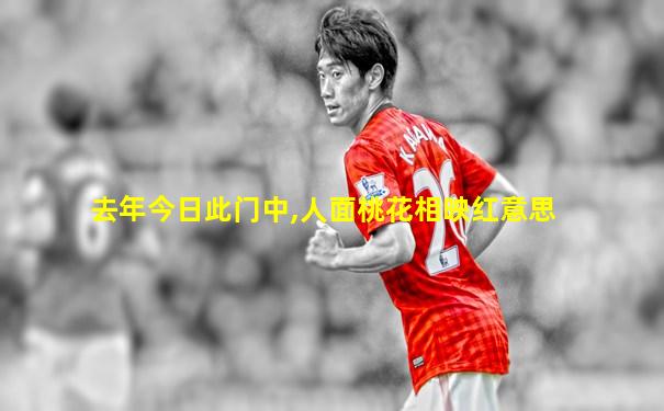 去年今日此门中,人面桃花相映红意思