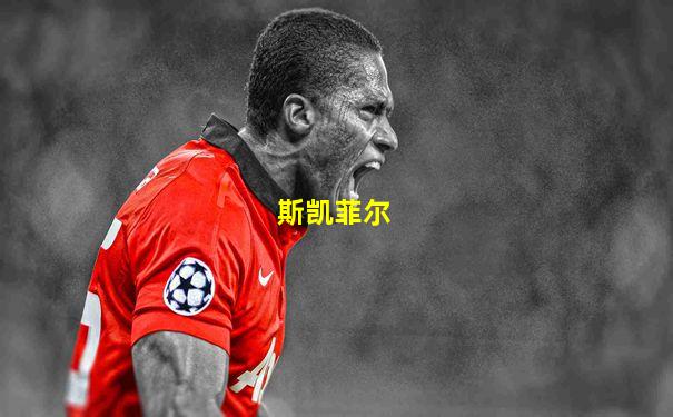 斯凯菲尔