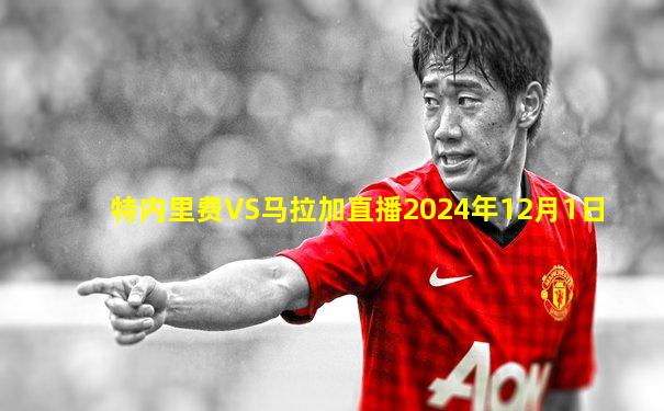 特内里费VS马拉加直播2024年12月1日