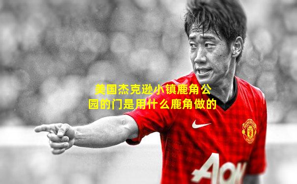 美国杰克逊小镇鹿角公园的门是用什么鹿角做的