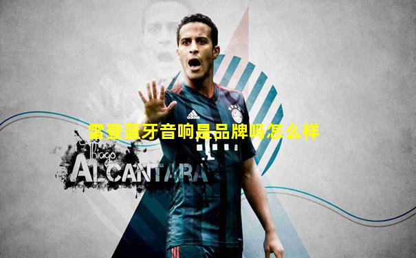 雷登蓝牙音响是品牌吗怎么样